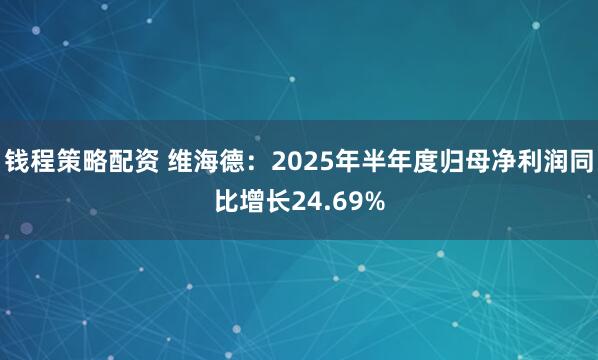钱程策略配资 维海德：2025年半年度归母净利润同比增长24.69%
